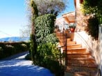 Steps Steps